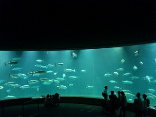 DSC_0069.jpg