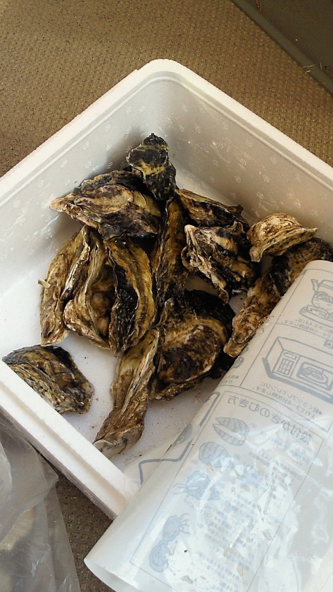 201201221527000.jpg