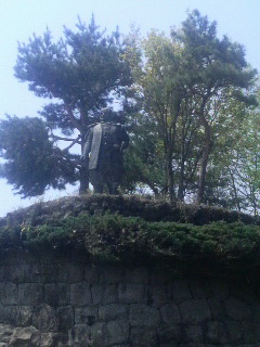 2010050212020001.jpg