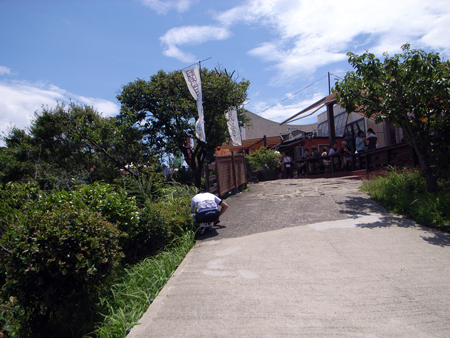 R1005859.jpg