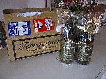 テラクオーレ