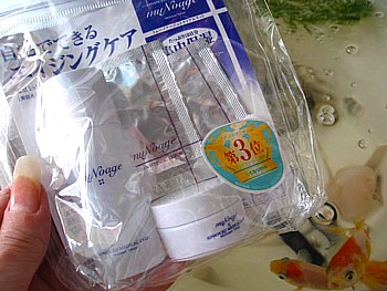 IMG_3129.JPG