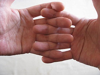 IMG_3877.JPG