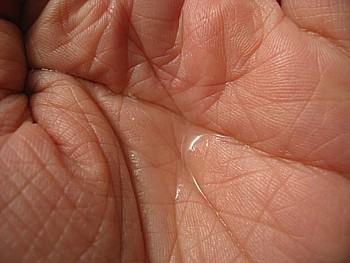 IMG_4949.JPG