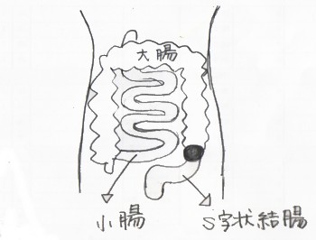 3tsubo.jpg