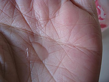 IMG_5380.JPG
