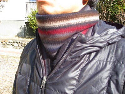 スプートニクス10