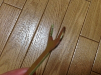 簡単に曲がってしまった付属のスパナ