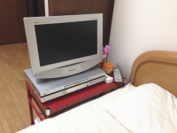 テレビ台(ルミナスパンチングシェルフラック)