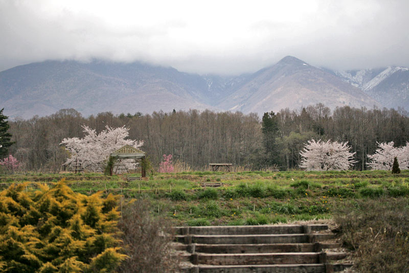 フィオーレ、八ヶ岳側景観