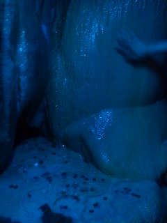 110624_1145~02.jpg