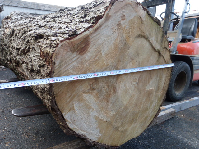 icho002no1.jpg