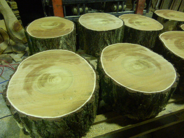 いちょうの中華用まな板 丸太の輪切り製材 | 松村木材 Blog
