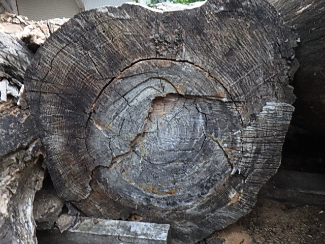 肥松金襴杢 製材 | 松村木材 Blog