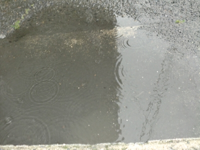 梅雨入り1