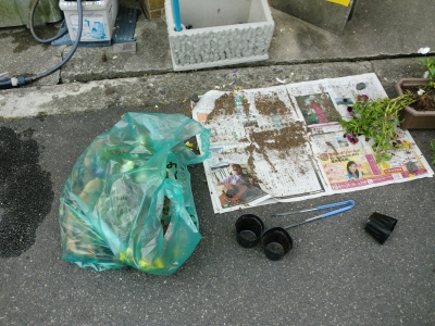 花5