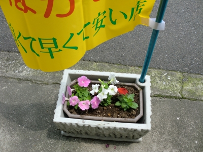 花8
