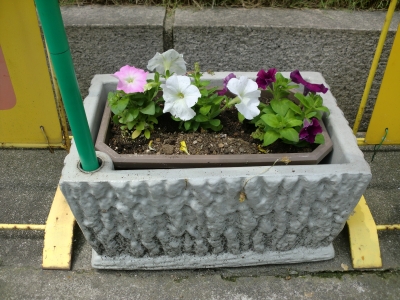 花9