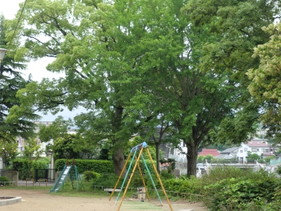 ¸æµÝÄ®7
