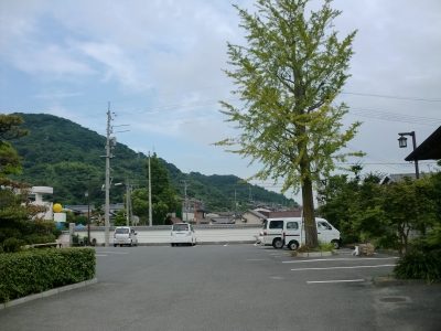 お盆7