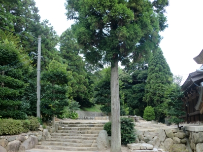 辰尾神社7