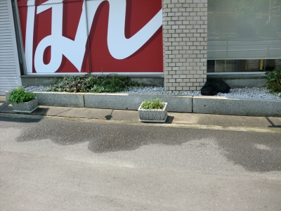お盆休み1