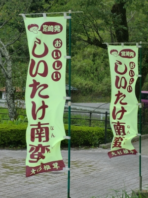 道の駅 「山之口」7