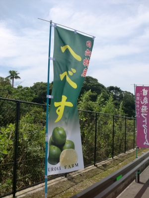 道の駅ひゅうが7