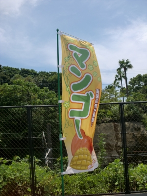道の駅ひゅうが8