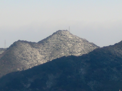 元旦3