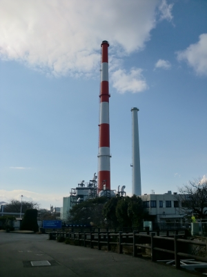東川のおしどり5