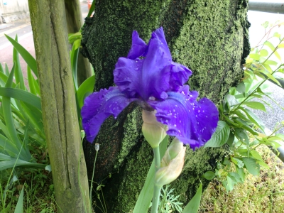 児玉公園6