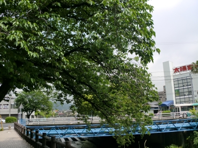 東川2