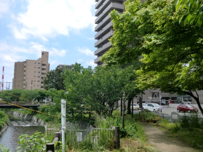 東川3