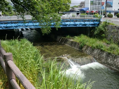 東川4