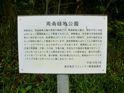 緑地公園1