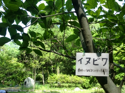 緑地公園7