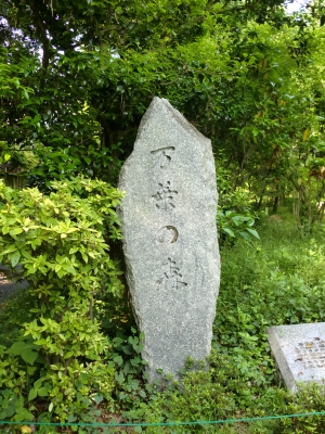緑地公園8