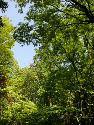 緑地公園10