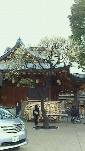 2013021022210000.jpg