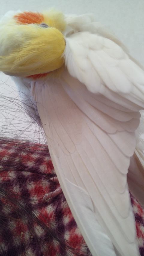140317_134034.jpg