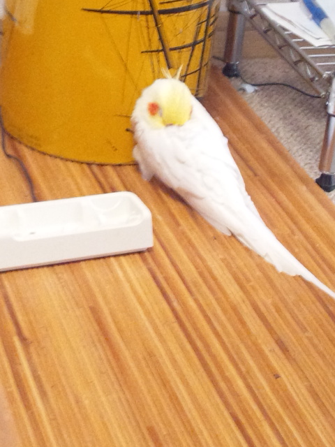 140730_135913.jpg