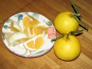 日向夏