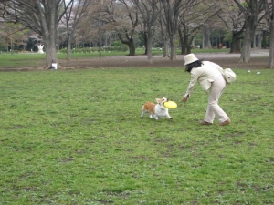 代々木公園