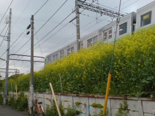 世田谷線路脇