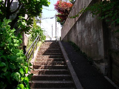 代沢