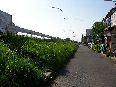 野毛