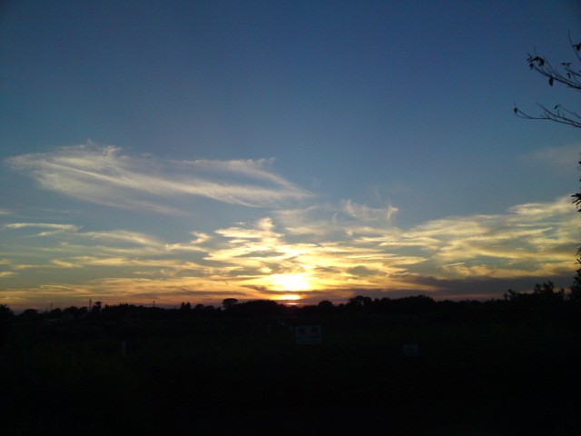 夕日