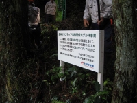 看板