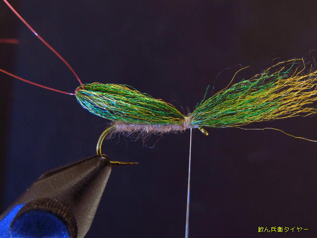 Image252.jpg
